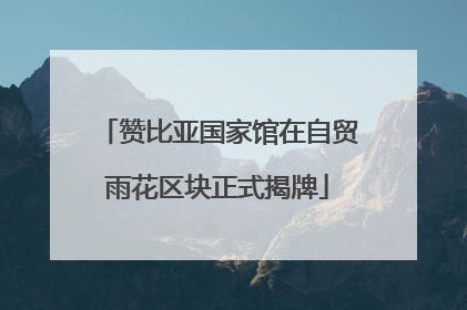 赞比亚国家馆在自贸雨花区块正式揭牌