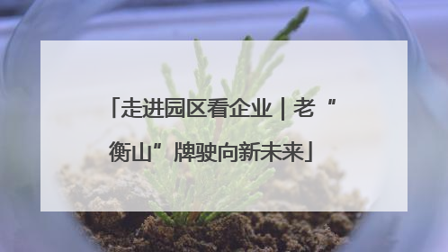 走进园区看企业｜老“衡山”牌驶向新未来