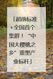 超前标准+全国首个集群！“中国大樱桃之乡”重塑产业标杆