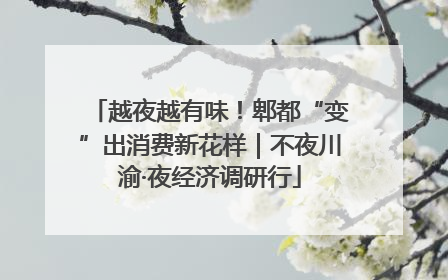 越夜越有味！郫都“变”出消费新花样｜不夜川渝·夜经济调研行