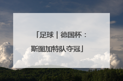 足球｜德国杯：斯图加特队夺冠