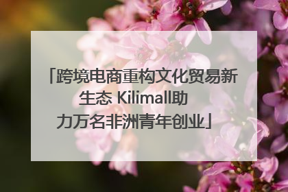 跨境电商重构文化贸易新生态 Kilimall助力万名非洲青年创业