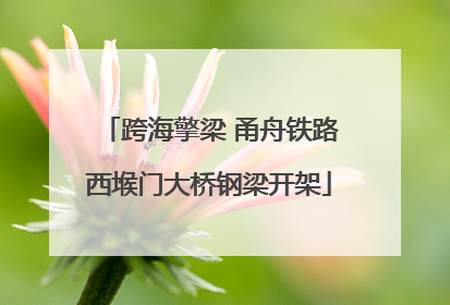 跨海擎梁 甬舟铁路西堠门大桥钢梁开架