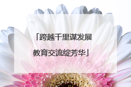 跨越千里谋发展 教育交流绽芳华