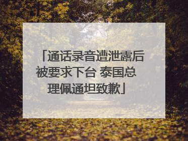 通话录音遭泄露后被要求下台 泰国总理佩通坦致歉