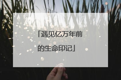 遇见亿万年前的生命印记