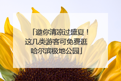 邀你清凉过盛夏！这几类游客可免费逛哈尔滨极地公园