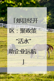 郏县经开区：聚政策“活水” 助企业远航