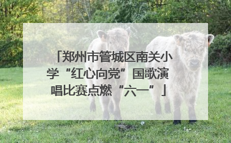 郑州市管城区南关小学“红心向党”国歌演唱比赛点燃“六一”
