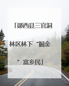 郧西县三官洞林区林下“掘金”富乡民