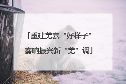 重建羌寨“好样子” 奏响振兴新“羌”调