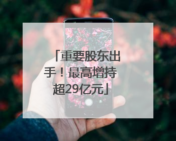 重要股东出手！最高增持超29亿元
