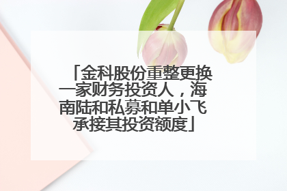金科股份重整更换一家财务投资人，海南陆和私募和单小飞承接其投资额度