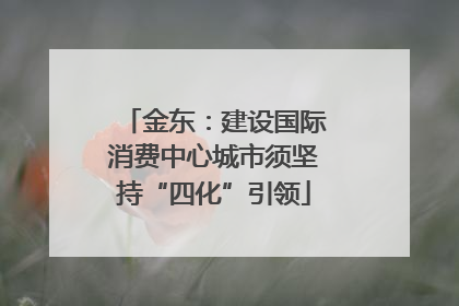 金东：建设国际消费中心城市须坚持“四化”引领