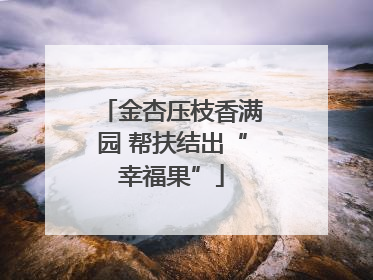 金杏压枝香满园 帮扶结出“幸福果”