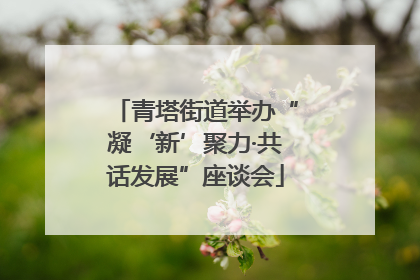 青塔街道举办“凝‘新’聚力·共话发展”座谈会