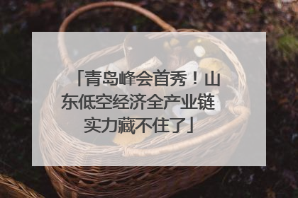 青岛峰会首秀！山东低空经济全产业链实力藏不住了