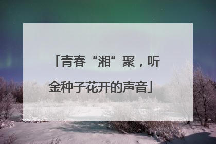 青春“湘”聚，听金种子花开的声音