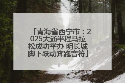 青海省西宁市：2025大通半程马拉松成功举办 明长城脚下跃动奔跑音符