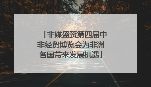非媒盛赞第四届中非经贸博览会为非洲各国带来发展机遇