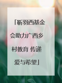 靳羽西基金会助力广西乡村教育 传递爱与希望