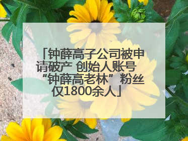 钟薛高子公司被申请破产 创始人账号“钟薛高老林”粉丝仅1800余人