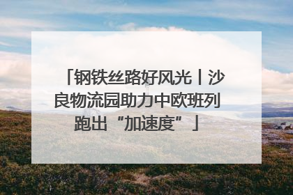 钢铁丝路好风光丨沙良物流园助力中欧班列跑出“加速度”