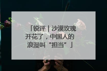 锐评｜沙漠玫瑰开花了，中国人的浪漫叫“担当”