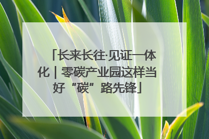 长来长往·见证一体化｜零碳产业园这样当好“碳”路先锋