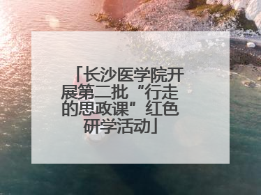 长沙医学院开展第二批“行走的思政课”红色研学活动