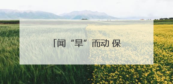 闻“旱”而动 保灌保供——陕西抗旱一线走访见闻