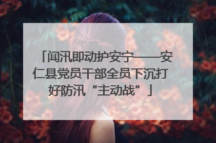 闻汛即动护安宁——安仁县党员干部全员下沉打好防汛“主动战”