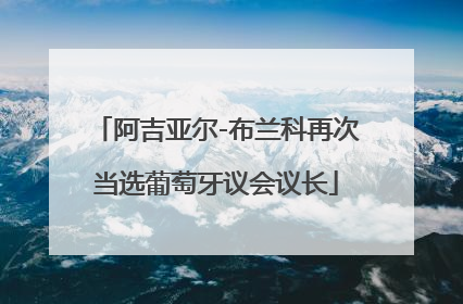 阿吉亚尔-布兰科再次当选葡萄牙议会议长