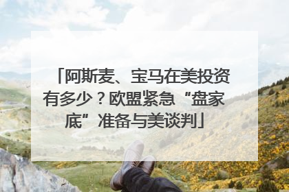 阿斯麦、宝马在美投资有多少？欧盟紧急“盘家底”准备与美谈判