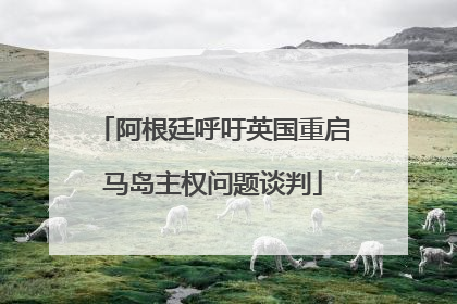 阿根廷呼吁英国重启马岛主权问题谈判