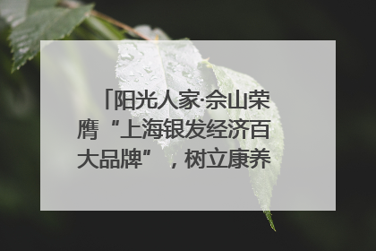 阳光人家·佘山荣膺“上海银发经济百大品牌”，树立康养行业新标杆