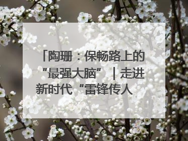 陶珊：保畅路上的“最强大脑”｜走进新时代“雷锋传人 长沙榜样”