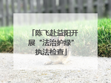陈飞赴益阳开展“法治护绿”执法检查