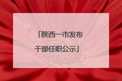 陕西一市发布干部任职公示