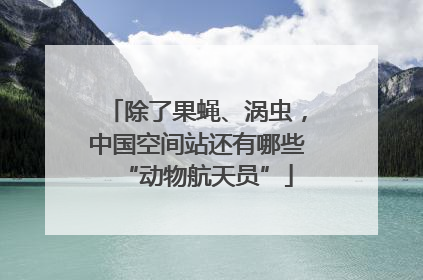 除了果蝇、涡虫，中国空间站还有哪些“动物航天员”