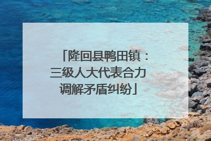 隆回县鸭田镇：三级人大代表合力调解矛盾纠纷