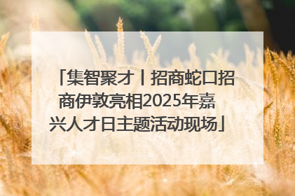 集智聚才丨招商蛇口招商伊敦亮相2025年嘉兴人才日主题活动现场