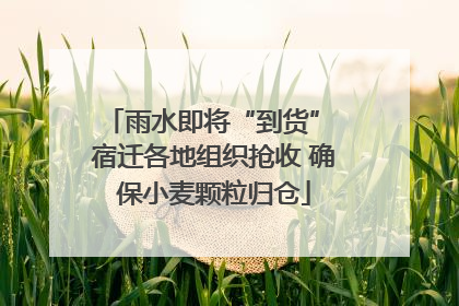 雨水即将“到货” 宿迁各地组织抢收 确保小麦颗粒归仓