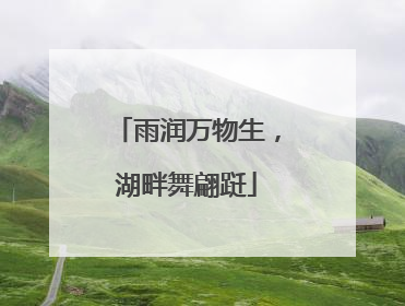 雨润万物生，湖畔舞翩跹