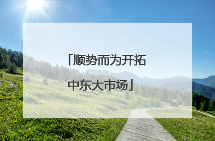 顺势而为开拓中东大市场