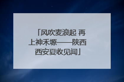 风吹麦浪起 再上神禾塬——陕西西安夏收见闻