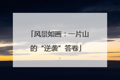 风景如画：一片山的“逆袭”答卷