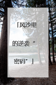 风沙里的逆袭“密码”