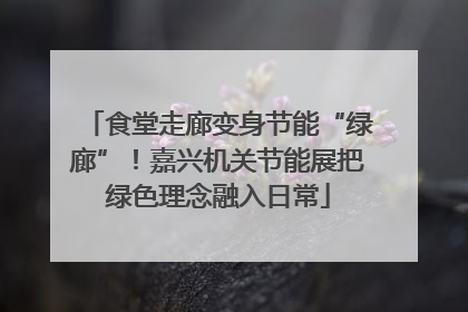 食堂走廊变身节能“绿廊”！嘉兴机关节能展把绿色理念融入日常