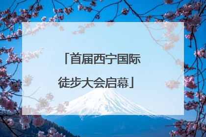 首届西宁国际徒步大会启幕